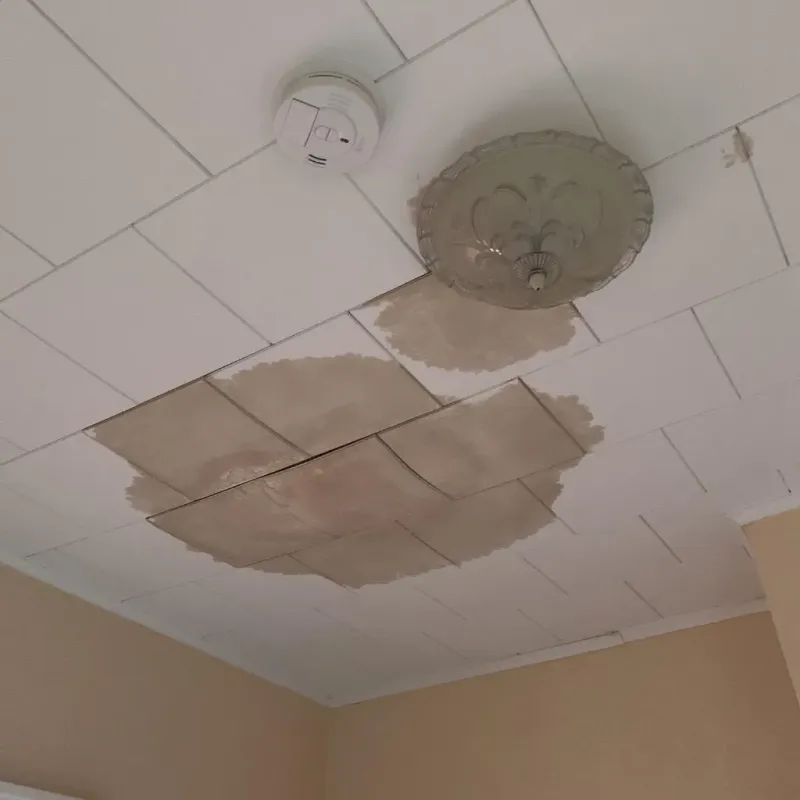 Ceiling Water Damage Repair in Woxall, PA