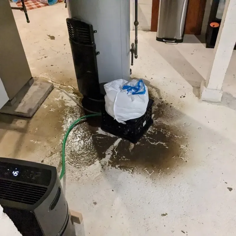 Sewage Backup Cleanup Service in Woxall, PA